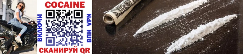 Купить закладки  Циолковский  COCAIN Columbia 