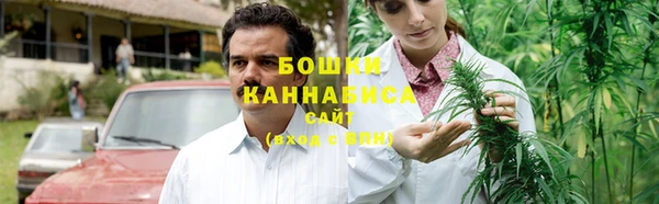 индика Касимов