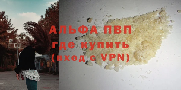 индика Касимов