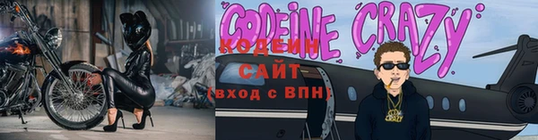 индика Касимов
