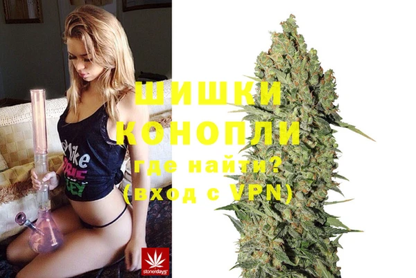 индика Касимов
