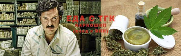 индика Касимов