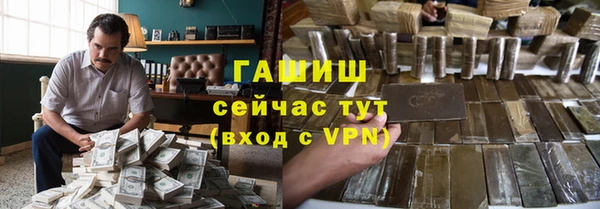 индика Касимов