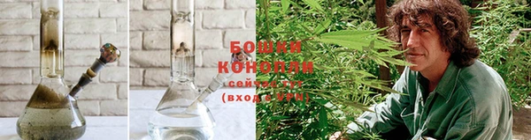 индика Касимов