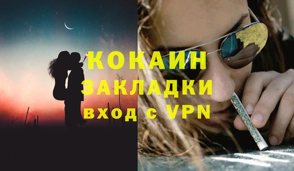 индика Касимов
